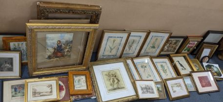 Mixed pictures and frames to include 19th century framed and coloured engravings of plants Location: