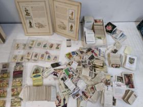 Vintage collectors cards to include cigarette, senior service, Sunripe, tea cards, Turf and