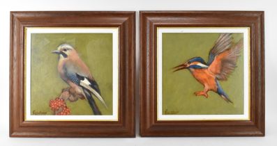David Gainford (b. 1941) British a pair of ornithological paintings depicting a kingfisher and a