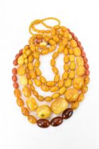 A collection of pressed amber necklaces, with graduated beads, largest bead 4 cm wide