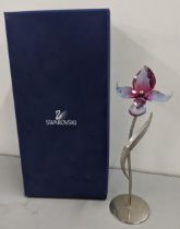 A boxed Swarovski crystal paradise flowers model of a Dorora Fuchsia flower Location: 5:1