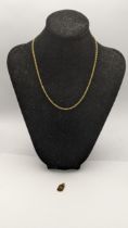 A yellow metal necklace tested as 9ct gold together with a 10ct gold pendant stamped 10k total
