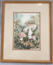 Elisabeth de Lisle - watercolour depicting a snail amongst mushrooms and leaves 24cm x 17cm,