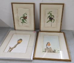 Four mixed wildlife watercolours to include Christopher Hughes watercolour depicting a Kingfisher