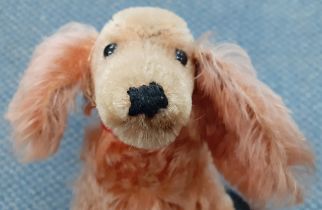 Steiff-A 1960's Waldi dachshund with red collar having no label to the ear.