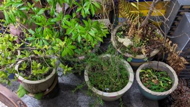 A pair of blue glazed and unglazed pottery garden pots, along with four smaller garden pots, each