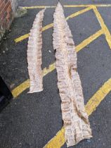 Two taxidermist python snake skins, the largest approximately 360cms long, the other 272cms long