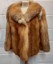 A 1970's red fox fur jacket having vertical brown leather insertions, 2 front pockets and a shawl