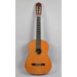 An Acoustic Guitar by Hohner