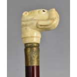 A Novelty Faux Ivory Handled Walking Cane with Dogs Head, 89cms Long