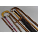 A Collection Various Walking Sticks, Swagger Stick, Parasol, Riding Whips etc