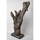 A Section of Petrified Timber or Driftwood on Wooden Plinth, 45cms High