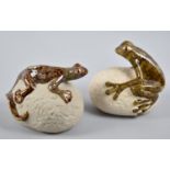 A Pair of Studio Pottery Ornaments, Frog and Newt on Rocks, by the Potting Shed, 30cms Long