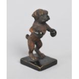 A Vintage Cold Painted Bronze Anthropomorphic Boxer Dog wearing Boxing Gloves, 8.5cms High