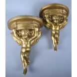 A Pair of Gilt Decorated Plaster Wall Sconces in the Form of Cherubs, 29cms High
