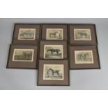 A Set of Six 19th Century Racehorse and Fox Hunting Engravings, 15x11cm