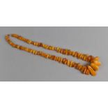 A String of Large Egg Yolk Amber Raw Beads, Largest 37mm by 32mm by 10mm, 66cm Long, 94.2gms