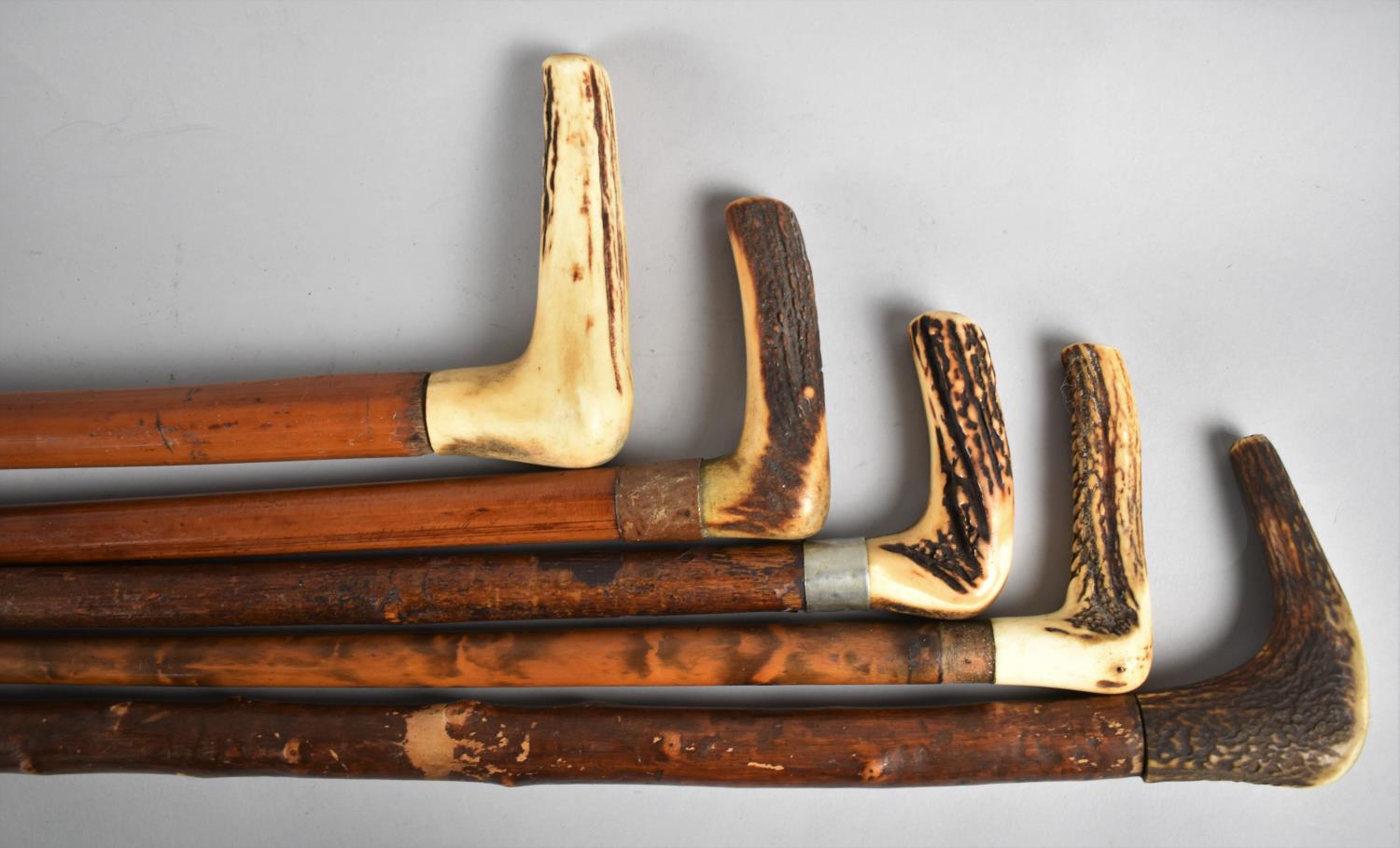 A Set of Five Vintage Stag Horn Handled Walking Sticks to include Malacca Example