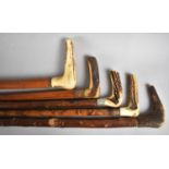 A Set of Five Vintage Stag Horn Handled Walking Sticks to include Malacca Example
