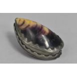 A Late 19th /Early 20th Century Souvenir Snuff Box Formed From Mussel Shell, 8cms Long