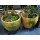 Two Terracotta Planters on Circular Caster Bases, Planters 35cms Tall