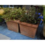 Two Terracotta Planters of Square Form, 30cms High