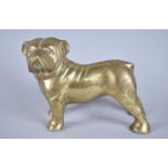 A Modern Cast Brass Study of a Bulldog, 20cms Long