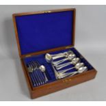 A Canteen of Various Cutlery (Canteen AF)