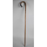 A Silver Mounted Walking Stick