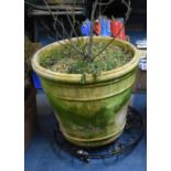 A Large Terracotta Planter on Caster Base, Planter 54x59cms Diameter