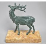 A Green Patinated French Spelter Stag on Marble Plinth, 15cms Wide