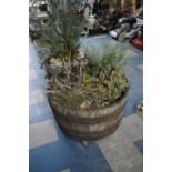 A Large Coopered Barrel Planter on Castered Stand