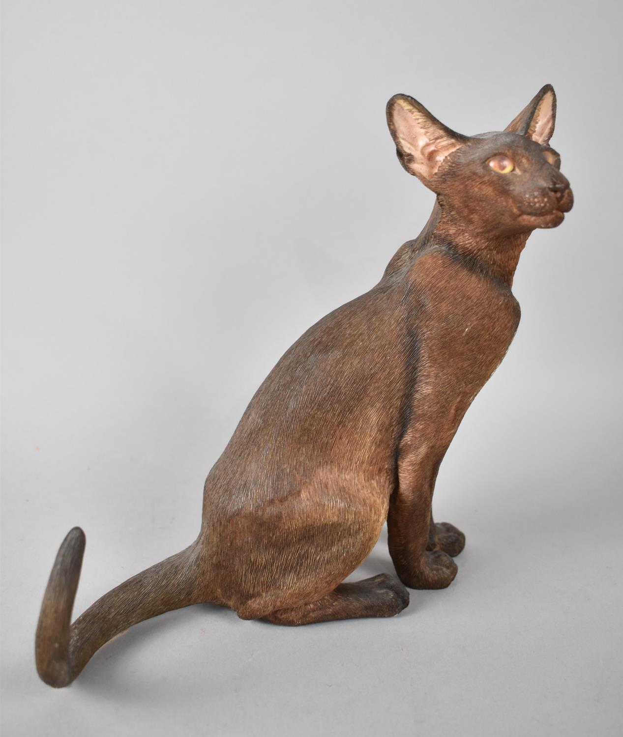 A Country Artists Study of Havana Siamese Cat, Sitting, No 04961, 22cms High