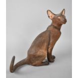 A Country Artists Study of Havana Siamese Cat, Sitting, No 04961, 22cms High
