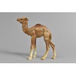 A Beswick Camel, No.1044, Nicks to Ears