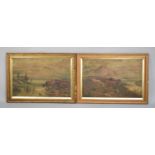 A Pair of Gilt Framed Nieve Oil on Canvas, Highland Cattle, Condition Issues, 68x45cms