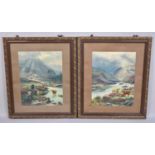 A Pair of Edwardian Gilt Framed Prints of Highland Cattle, 35x48cms