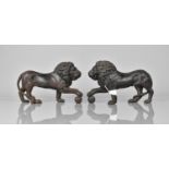 A Pair of Regency Cast Iron Door Porters in the Form of Medici Lion, Missing Plinth Bases and with