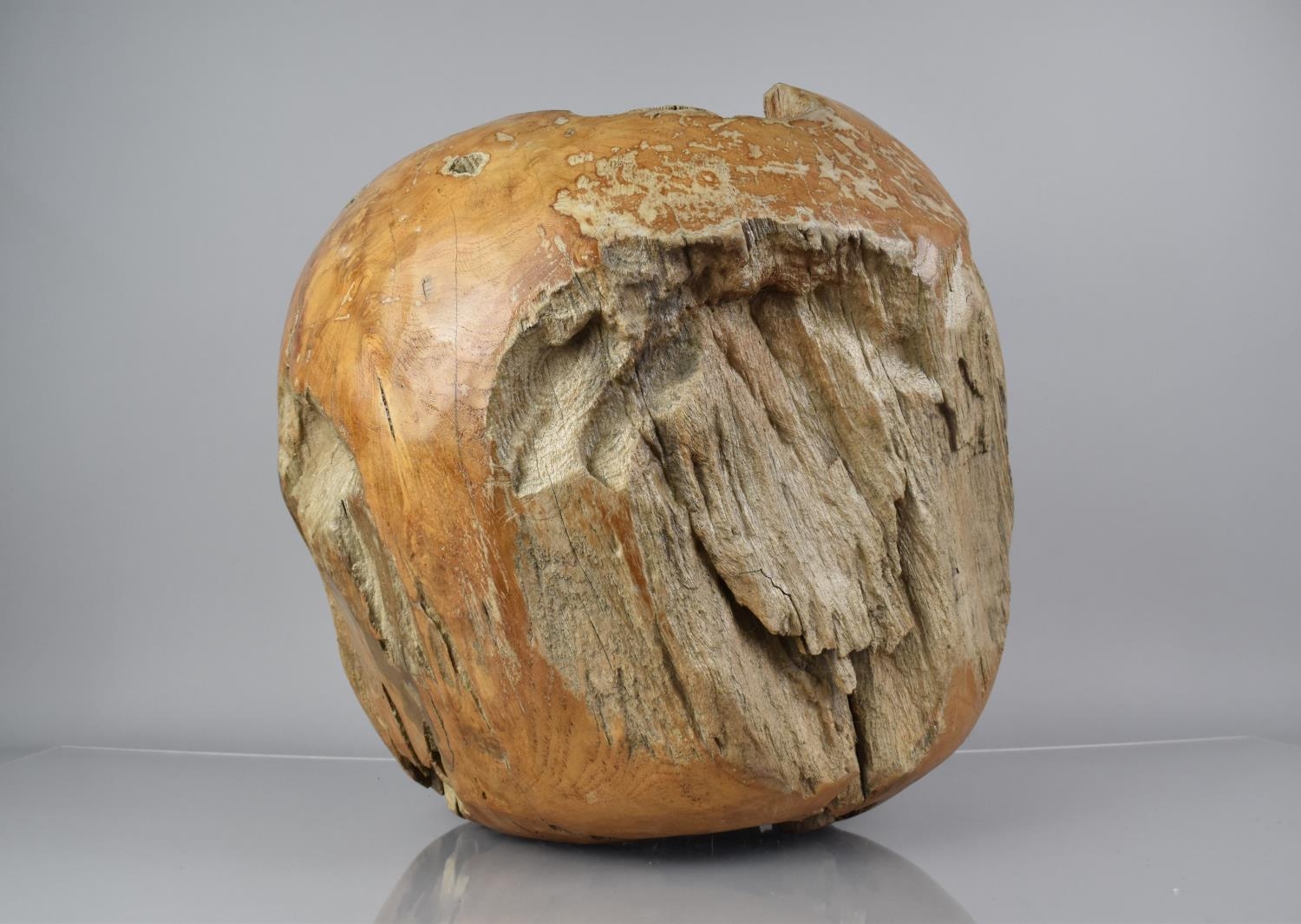 A Large and Decorative 20th Century Wooden Sculpture Carved from a Natural Burr, 46cms Wide and