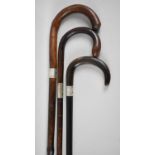 A Collection of Three Walking Sticks to include Silver Mounted Horn Handle on Ebony Shaft by