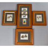A Collection of Various Framed Cigarette Cards Decorated with Dogs