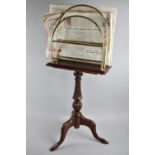 A Country House Newspaper Rack with Brass Dividers on Carved Mahogany Tripod, 78cm high