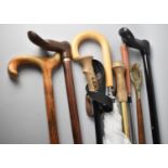 A Collection of Various Modern Walking Sticks, Shoe Horn and Back Scratcher