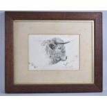 A Framed Pencil Sketch, British Wild Bull, 23x16cms