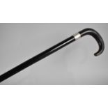 A Silver Mounted Horn Handled Ebony Shafted Walking Stick, AR London 1924, Missing Ferule