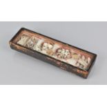 A 19th Century Small Rectangular Display Case housing Collection of Small Shells and Dogs Teeth,