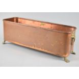 A Copper Planting Trough with Four Brass Claw Feet and Brass Ring Handles, 44cms Wide