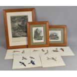 A Collection of Various Engravings to include Roe and Fallow Deer and The Resting Place of The