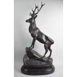 A Very Large Heavy Reproduction Bronze Sculpture of Stag (Facing Left), On Oval Marble Plinth