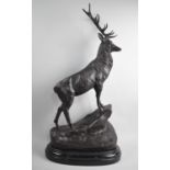 A Very Large Heavy Reproduction Bronze Sculpture of Stag (Facing Right), On Oval Marble Plinth after